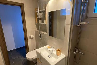 Apartament cu 2 camere decomandat, mobilat în Gemenii - 3
