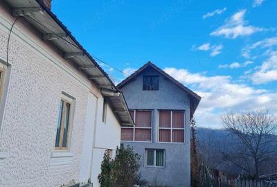 Casa Govora Sat - Gurisoara , 2 case in aceeasi curte , vand sau schimb Casa Govora Sat - Gurisoara , 2 case in aceeasi curte , vand sau schimb - 5