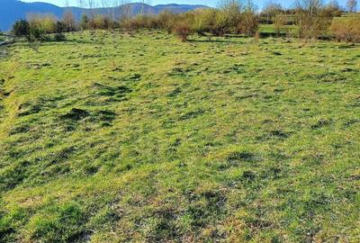 Teren de 500 mp, în Cisnădioara - 1