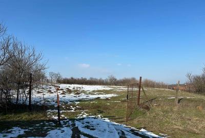 Teren de 1440 mp, în Murani - 6