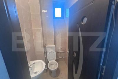 Spatiu comercial de inchiriat, 30 mp, zona Calea Severinului - 6
