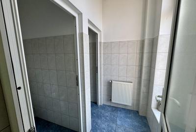 Clădire SAD de închiriat, situată la intrarea în Dumbrăvița - 36