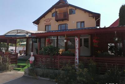 Spațiu comercial, de 500 mp, în Baia de Fier - 8