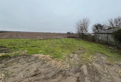 Teren agricol intravilan de 4200 mp, în Merii - 1