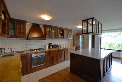 Vanzare domeniu deosebit, vila, anexe si teren cu livada de meri sub padure - 8