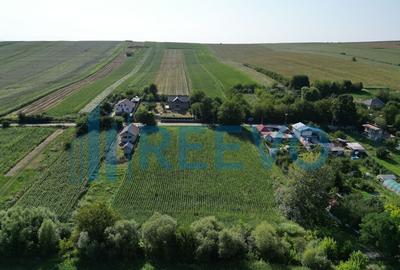 Teren intravilan de vanzare, Sat Bogdan?ti, Com. Traian - 5