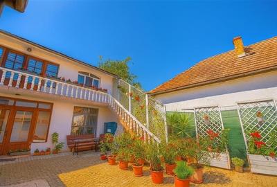 FILM& 3D!Proprietate duala distinctiva: showroom,birouri,locuinta,venit pasiv, i - 4