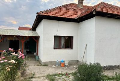 Casa de vanzare