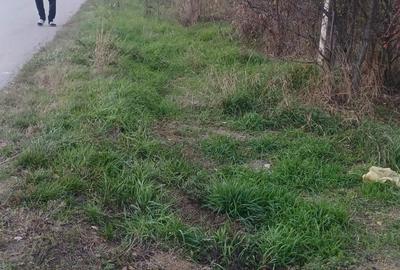 Spațiu comercial, în Central - 2