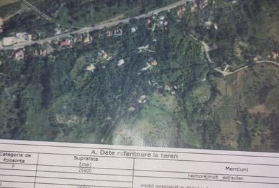 Teren de 25600 mp, în Măgura - 1