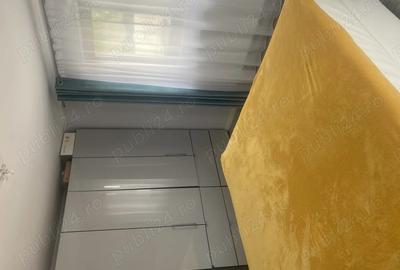 Vand casa complet utilata, 240 mp + 500 mp teren, Dezmir-str. Padurii - 3