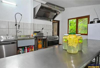 In cartea de povesti a Pietrei Craiului, ansamblu turistic in circuit,Plaiul Foii - 1