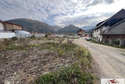 Teren Construcții intravilan de 4439 mp, în Bistra - 6