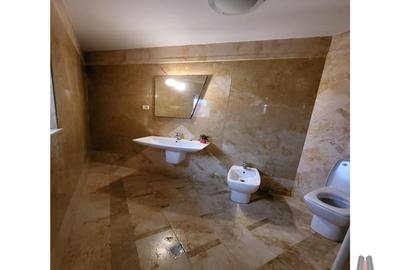 Vila individuala proximitate Penny / rond OMV / 1000mp teren - 20
