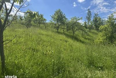 Teren de 1719 mp, în Văleni-Dâmbovița - 6