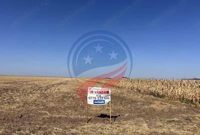 Teren de 5087 mp, în Pielești - 1