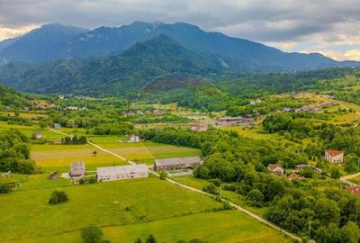 COMISION 0% Teren 1,590mp Rasnov / DJ 101 - 6