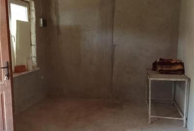 Casa P M si teren intravilan de in localitatea Patlageanca- - 10