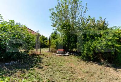 Casă cu 3 camere cu Teren 4000 Mp în Rovina (Brănișca) - 1