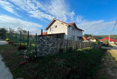Casa cu potential de vanzare - Hidiselu de Jos, Bihor - 10