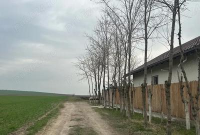 Teren de 2000 mp, în Vasile Alecsandri - 3