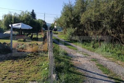 Casa de vanzare Livezile, str. principala - 11