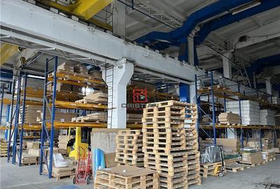 Hala/depozit/spatiu industrial Basarabia - Faur - 9