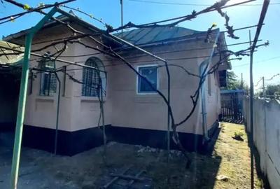 Casă cu 4 camere cu Teren 3600 Mp în Iliești - 2