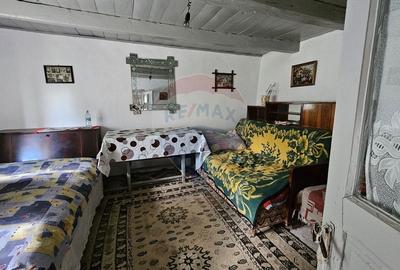 Casa  de vanzare cu teren 9200 mp, Padureni-Sendriceni, Botosani - 10