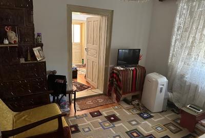 Casa formata din 2 corpuri si un garaj in comuna Branceni - 4