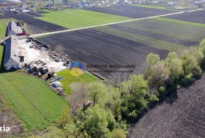 Spațiu comercial, în Podoleni - 6