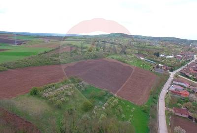 Teren intravilan de 34425 mp, în Bădeni - 10