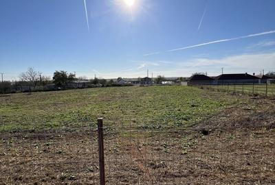 Teren de 4406 mp, în Dulcești - 7