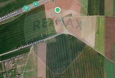 Teren  intravilan 1,886mp Branesti / Autostrada Soarelui/ Vadul Anei - 3
