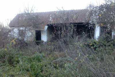 Teren Construcții intravilan de 1000 mp, în Turceni - 2