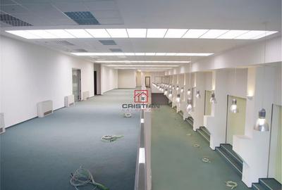 Birouri Theodor Pallady, Bucuresti - 11