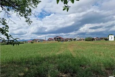 Casa cu teren orasul Roznov judetul Neamt 1550 mp - 4