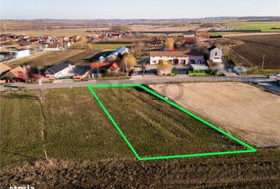 Spațiu comercial, în Biharia - 3