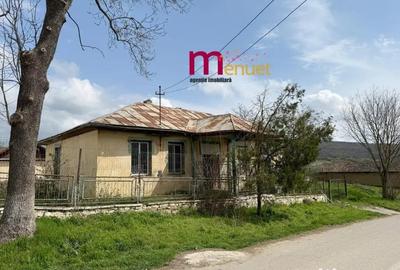 Casă cu 2 camere cu Teren 1167 Mp în Ciucurova