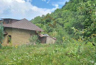 Casă cu 6 camere cu Teren 2700 Mp în Bradu - 20