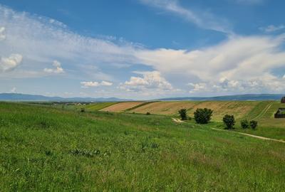 TEREN INTRAVILAN  BOD - 1200 mp pentru constructii case Sp+P+E+M - 4