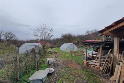 Ocazie!Oaza de liniste in satul Colun,cu 572mp ,la 40km de Sibiu Ocazie!Oaza de liniste in satul Colun,cu 572mp ,la 40km de Sibiu - 26