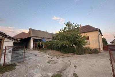 Casă cu 6 camere cu Teren 5000 Mp în Nerău - 9