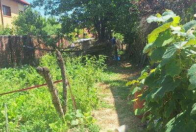 Casă cu 2 camere în Curtea de Argeș - 1