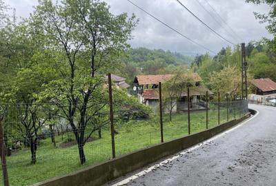 Teren intravilan, 900 (mp), zona Cornu de sus - 6