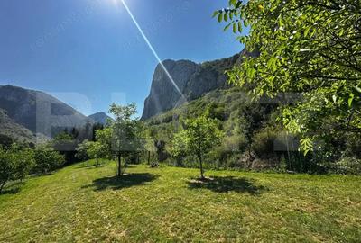 Teren deosebit de vanzare 1800 mp, Cheile Vali?oarei livada de nuci - 3