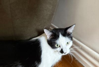 Apartament cu 3 camere în Universitate