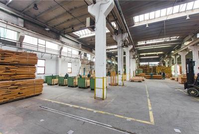 Complex Industrial strategic ?n Miercurea Sibiului,hale si 3,1 ha teren - 10