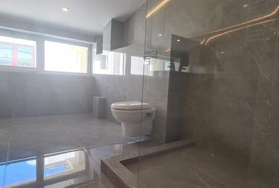 PROPRIETATE RESTAURATA INTEGRAL // PIATA DOROBANTI - 10