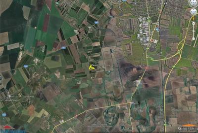 Teren de 28800 mp aproape de drumul Arad - Iratos - 1